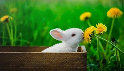 76人惜败热火，恩比德空砍40分+15篮板，76人队恩比德受伤