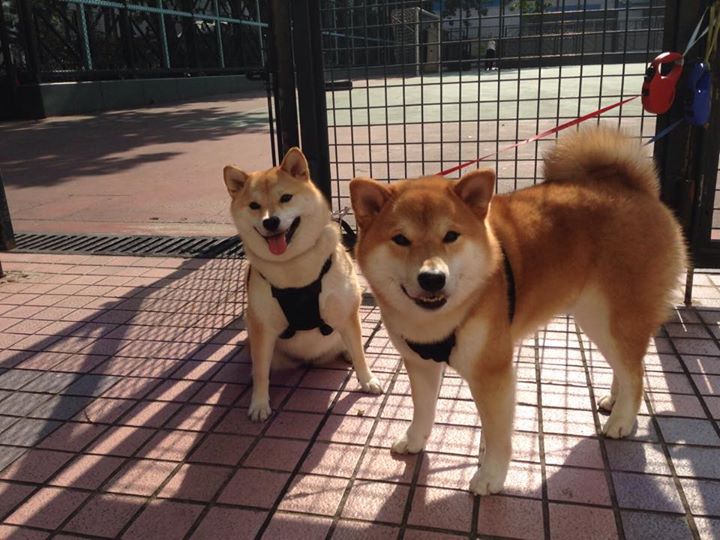 2025年全球电竞投资额再创新高,行业成交活跃,2021年电竞行业