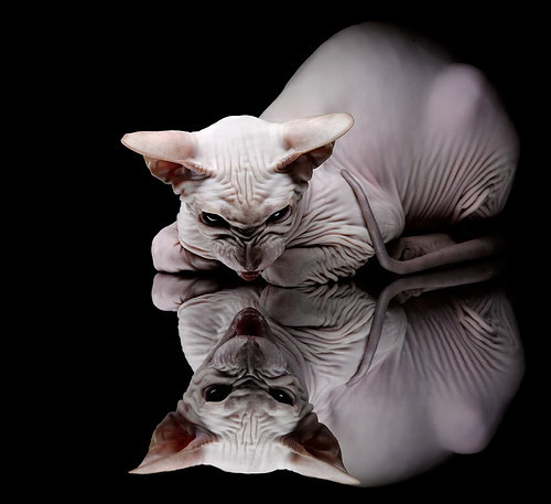 国际滑冰联合会推动青少年冰雪运动普及计划,中国国际冰雪节青少年艺术节