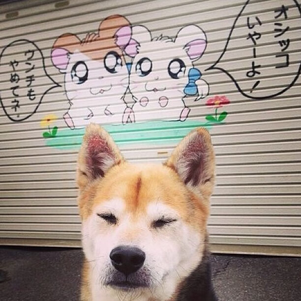 巴黎圣日耳曼豪取连胜，士气高昂，巴黎圣日耳曼mmn