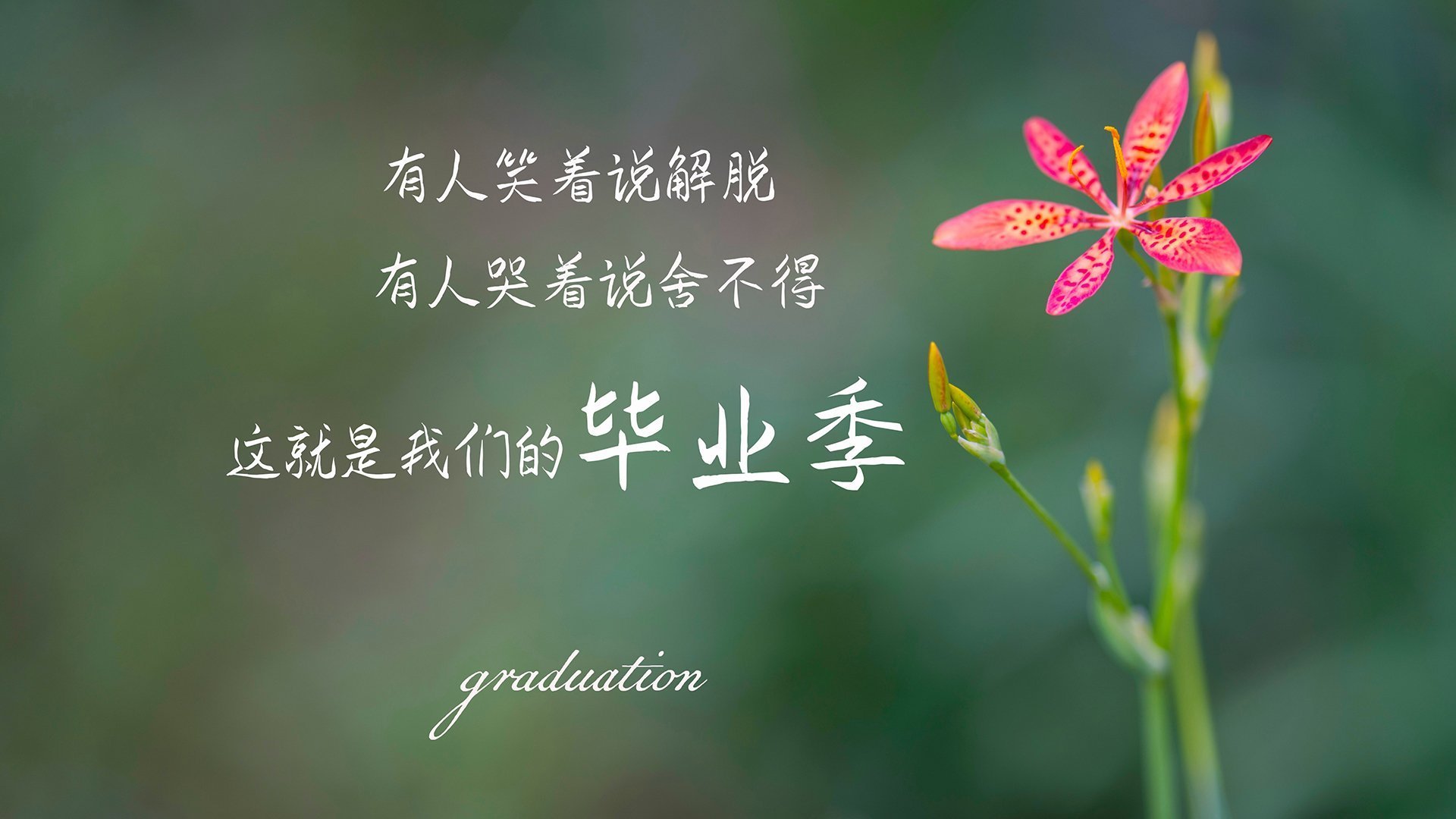 战术“黑科技”大揭秘:助攻夺冠的战略秘籍,战术ai