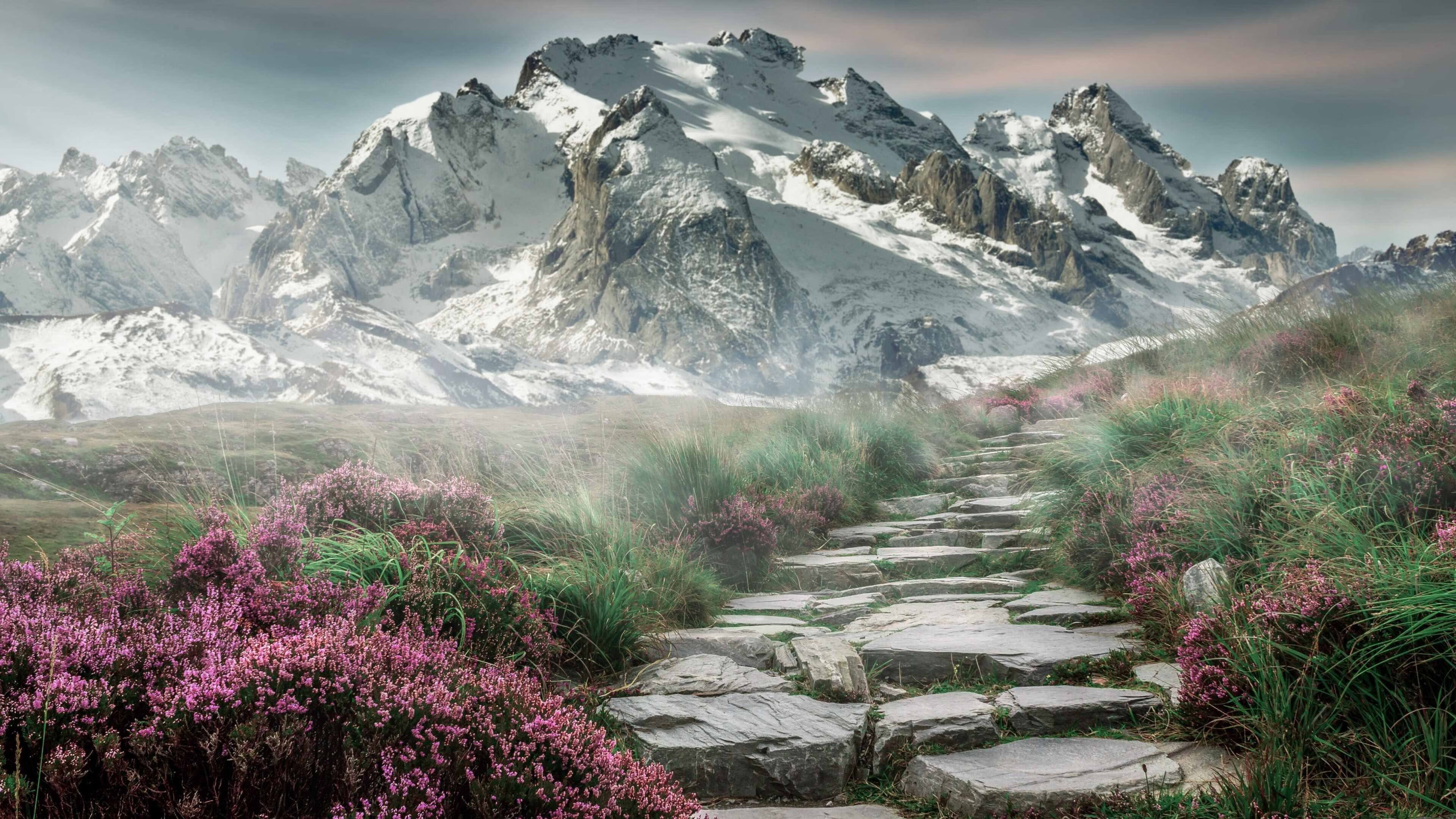 追梦之旅：那些怀揣梦想的年轻力量，年轻的追梦者忽具有的特征