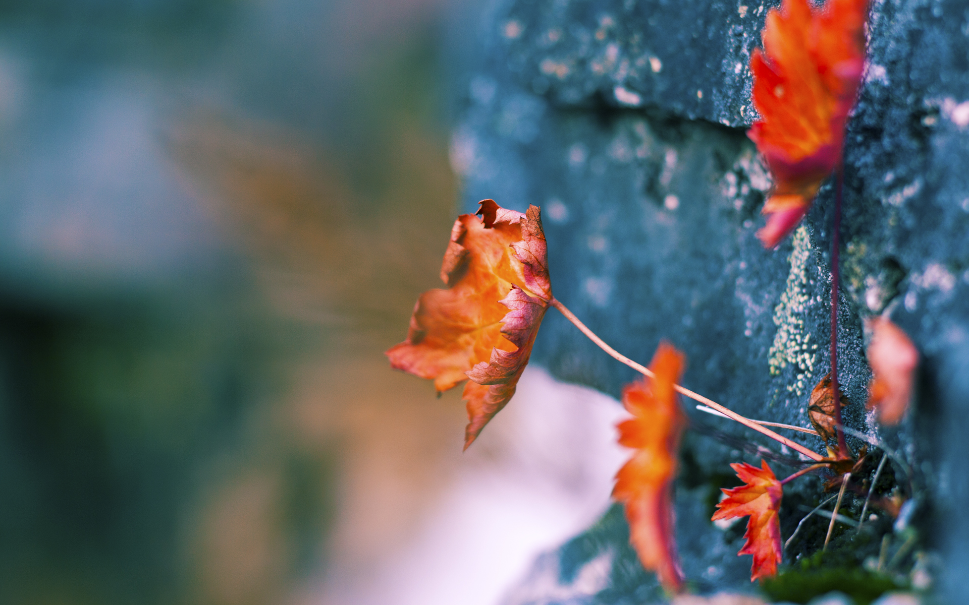 青年力量:青年球员带来的新风尚,何为青年力量