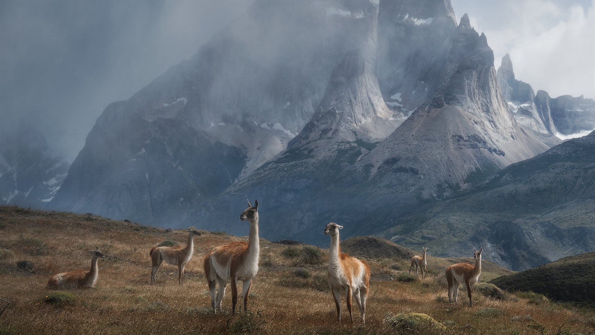 中国篮球运动赛事安全保障体系,中国篮球竞赛制度改革