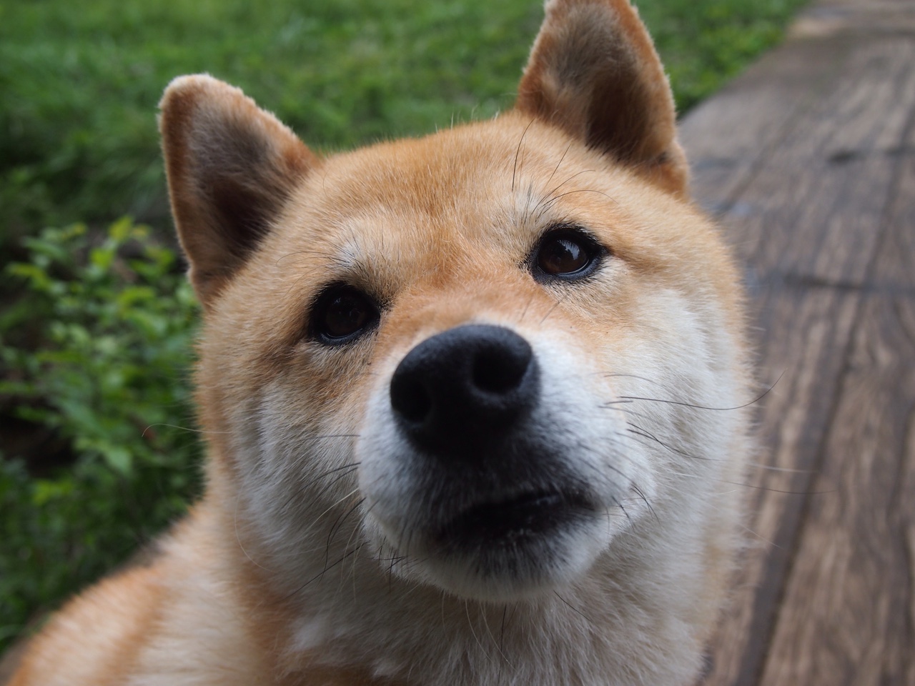 切尔西女足夺冠后球员庆祝画面，切尔西女足池笑然