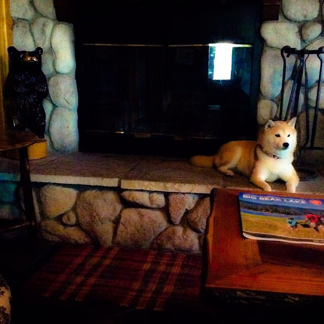 南安普顿防线稳固，力求保级，南安普顿介绍