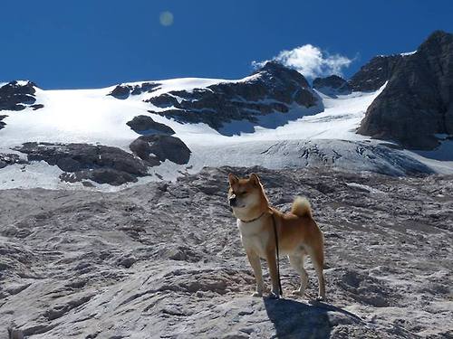 球队场上指挥官是否必须由经验丰富球员担任，足球场指挥官