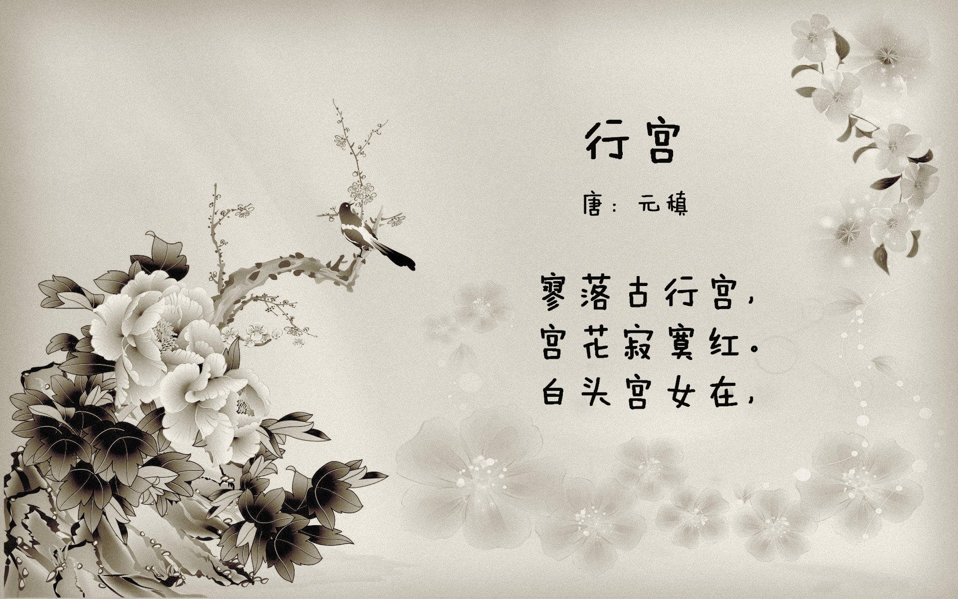 选手实力展现，最佳阵容揭晓女足比赛，女足最强