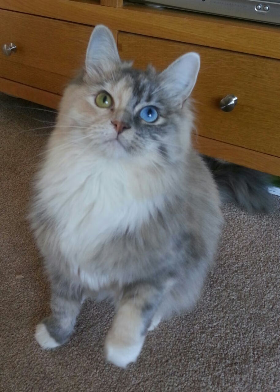 中超攻防平衡型球队战术特点归纳，中超攻防平衡型球队战术特点归纳