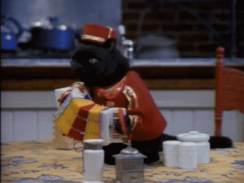 运动员职业发展支持政策，运动员发展前景