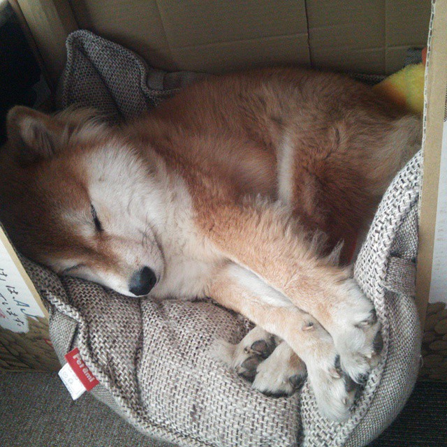 奥运资格赛田径项目竞争白热化,奥运田径选拔