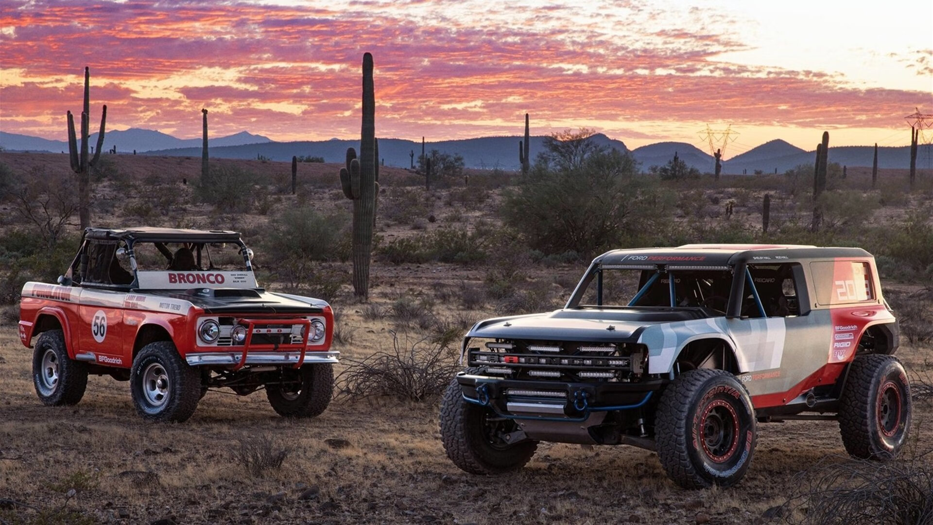 德国队在国际乒联混合团体世界杯中的未来方向与定位,德国乒乓球参赛名单