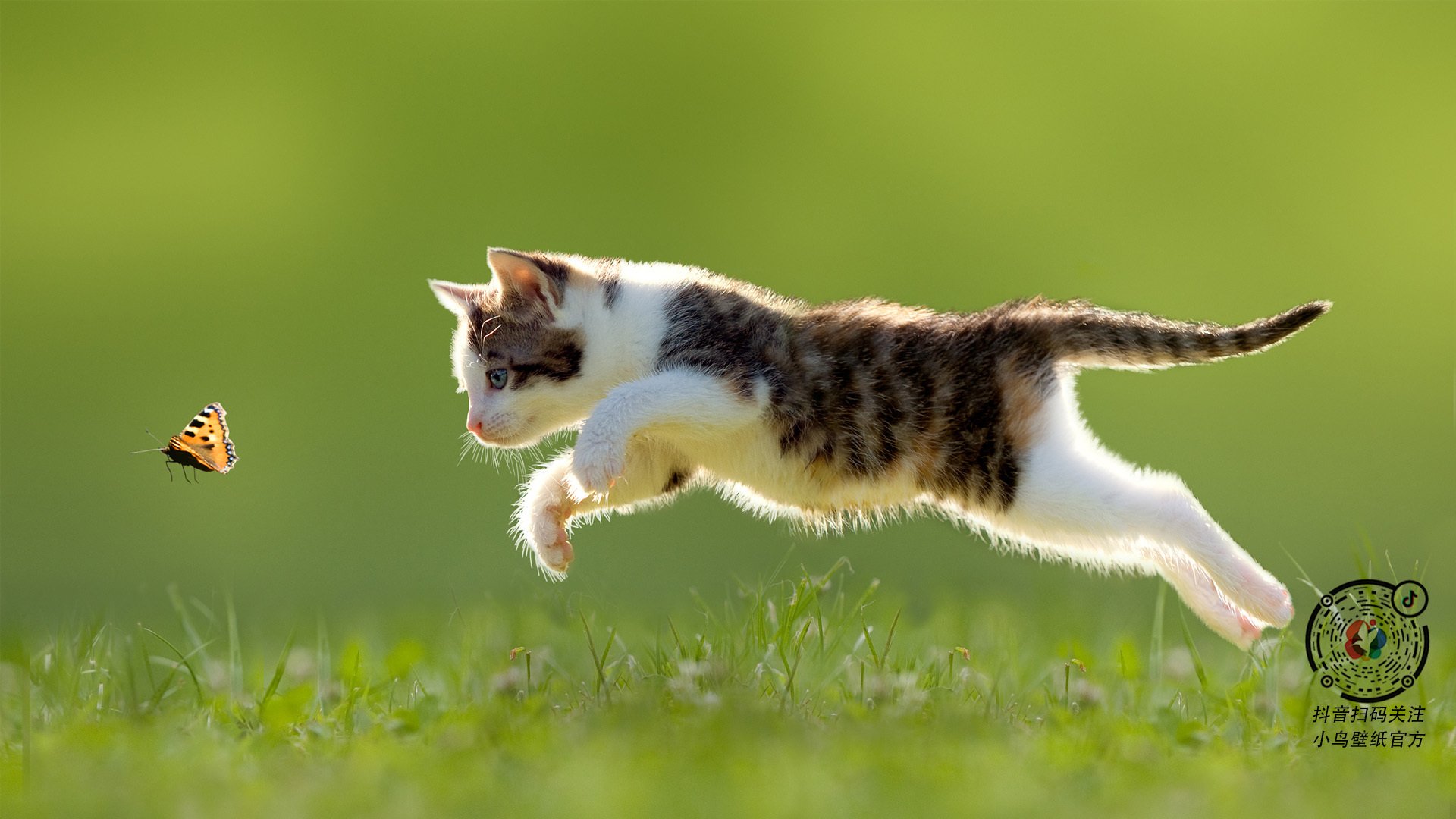 帕利斯特稳步提升竞赛表现，帕特里斯