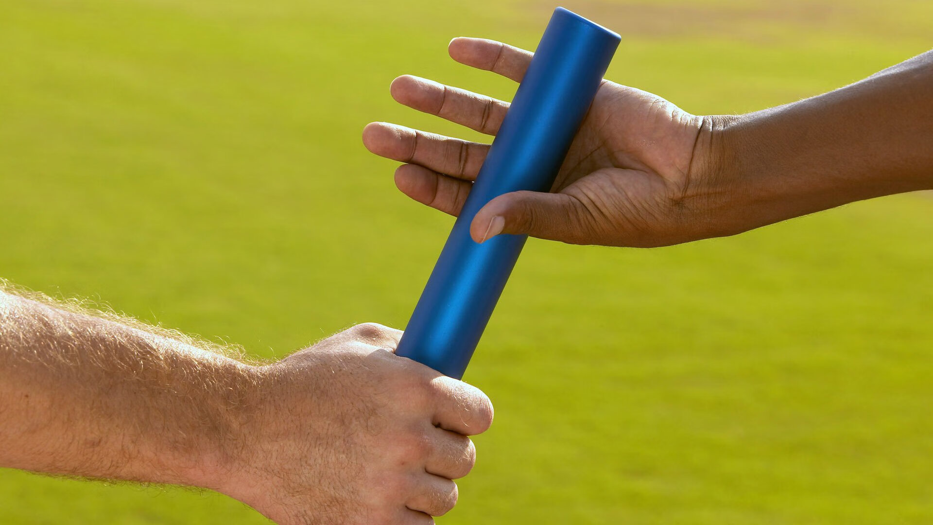 克罗地亚马术协会引入智能马鞍系统，实现实时数据监测与分析，提升骑乘体验。