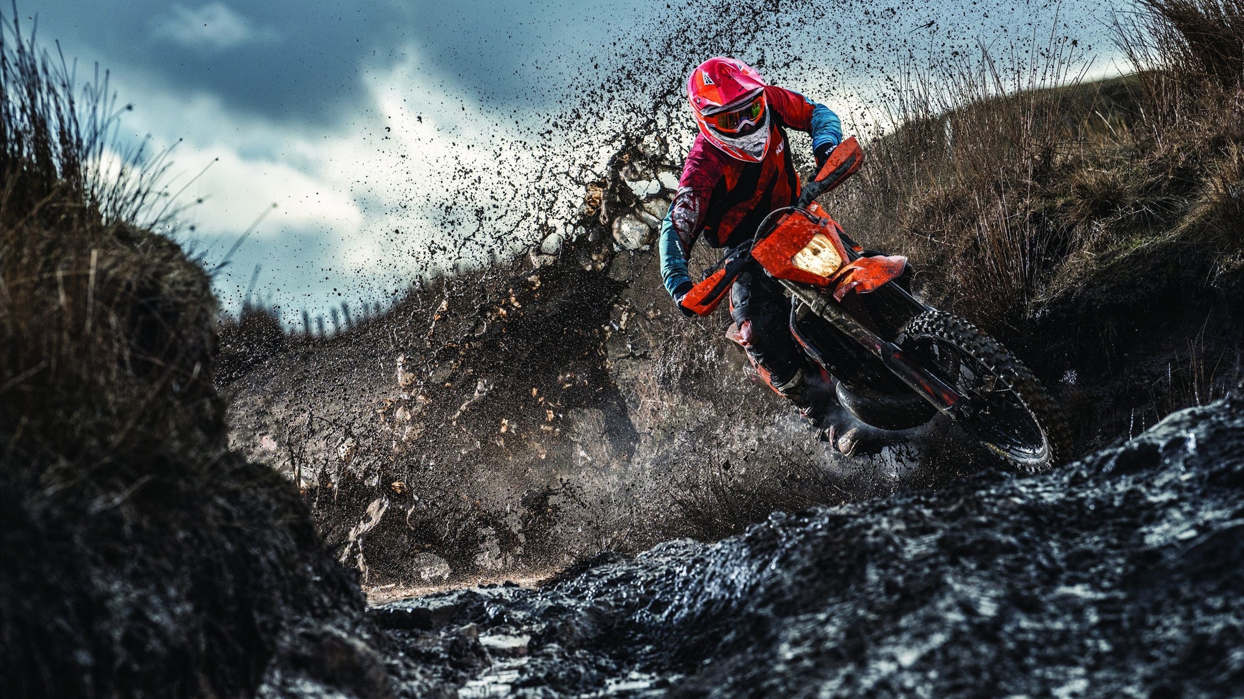 车迷留言精选:赛季中的精彩评论,赛车评论语录